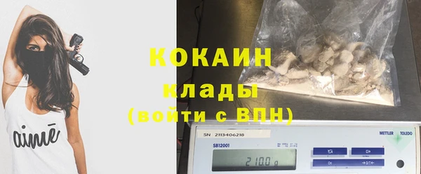 дмт Абаза