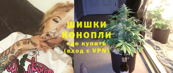 дмт Абаза