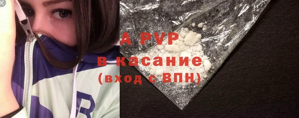 дмт Абаза
