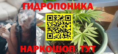 гашишное масло Можга
