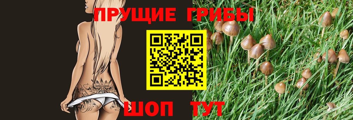 Сыктывкар  купить наркоту  Вход с VPN  Галлюциногенные грибы мицелий  Галлюциногенные грибы GOLDEN TEACHER 